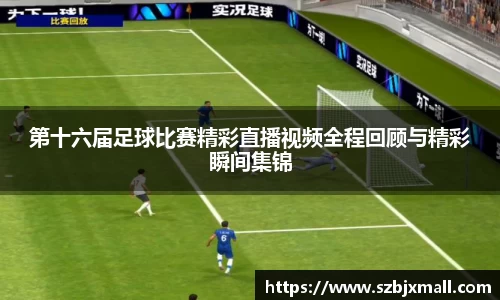 3377体育网站