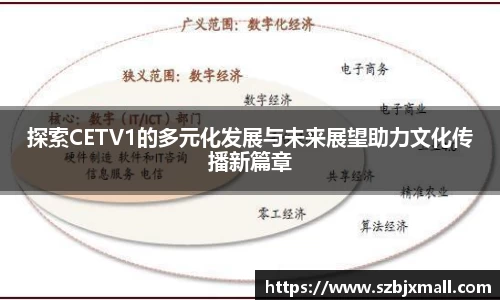 3377体育全站