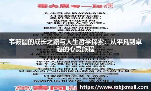 3377体育网站