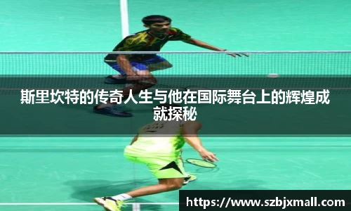 3377体育网站