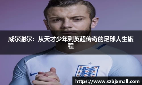 3377体育官方网址