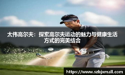3377体育网站